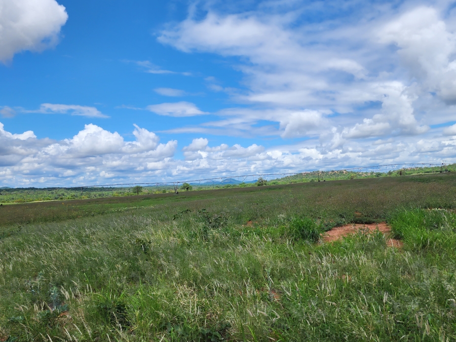 0 Bedroom Property for Sale in Musina Limpopo