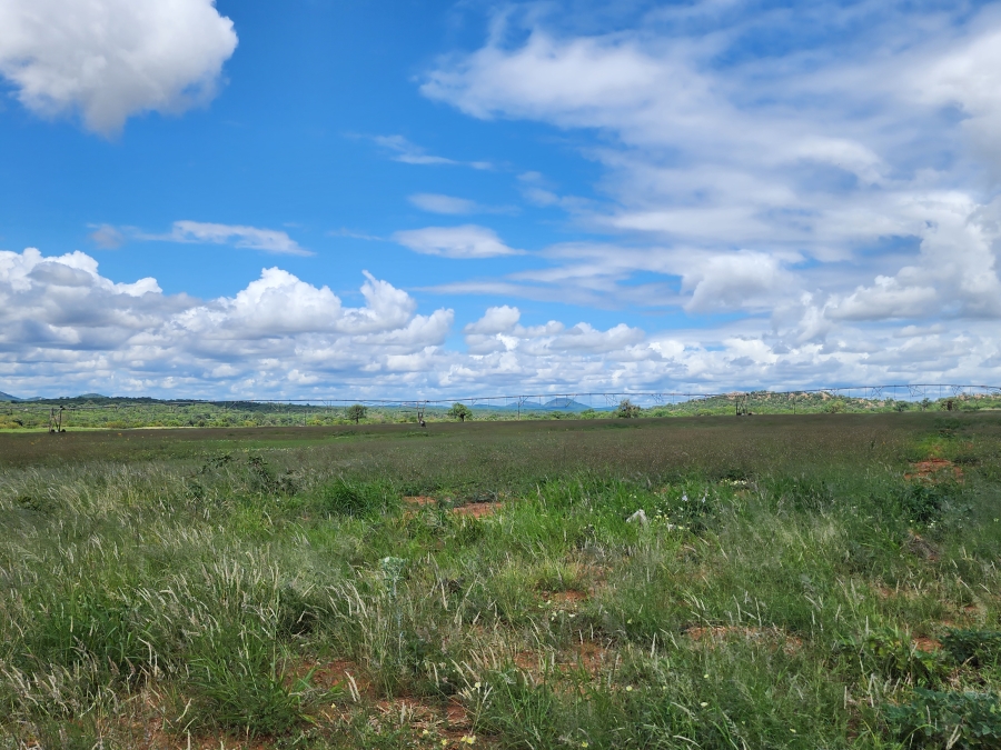 0 Bedroom Property for Sale in Musina Limpopo