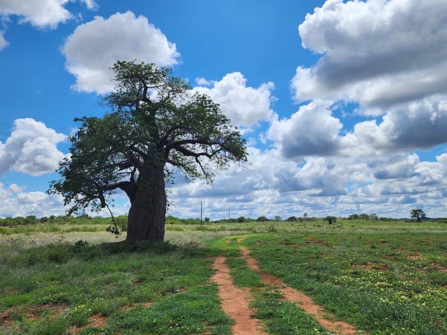 0 Bedroom Property for Sale in Musina Limpopo