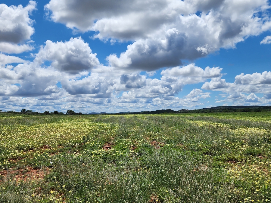 0 Bedroom Property for Sale in Musina Limpopo