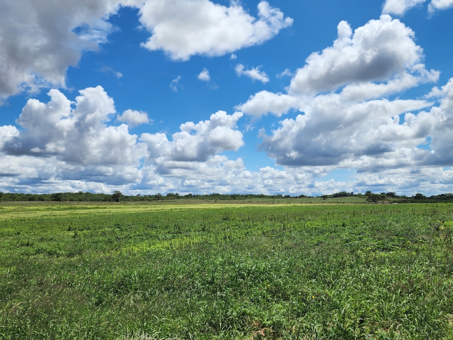 0 Bedroom Property for Sale in Musina Limpopo