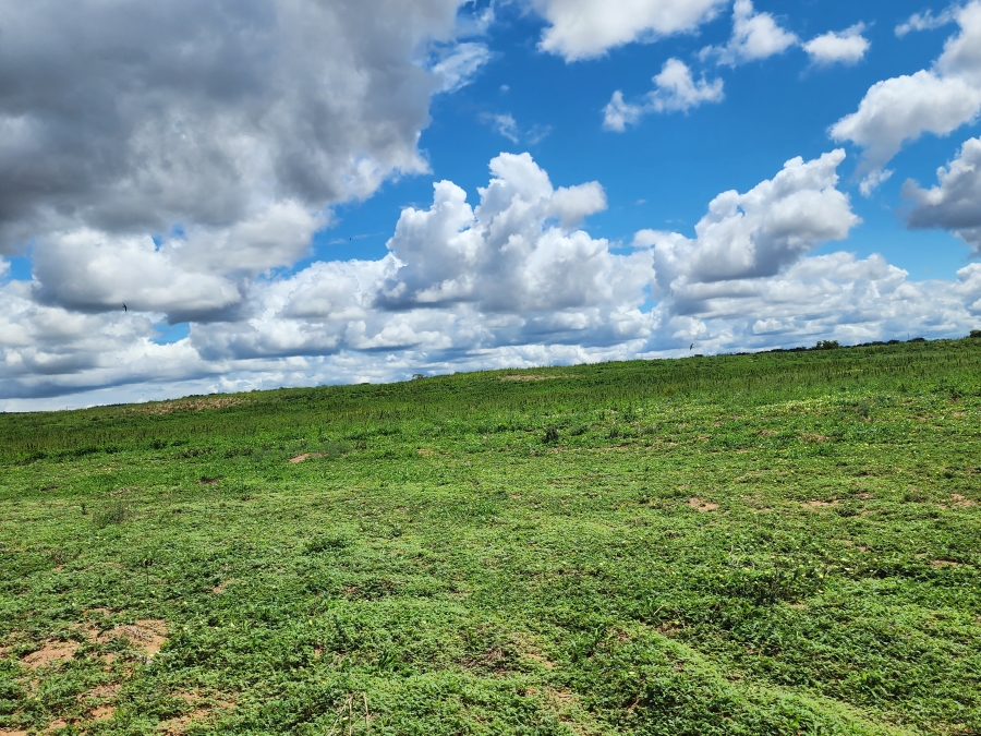 0 Bedroom Property for Sale in Musina Limpopo