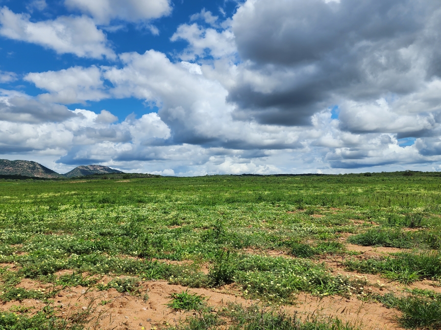 0 Bedroom Property for Sale in Musina Limpopo