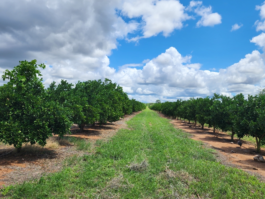 0 Bedroom Property for Sale in Musina Limpopo