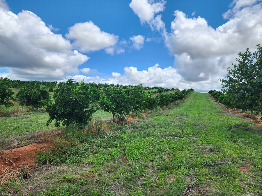 0 Bedroom Property for Sale in Musina Limpopo