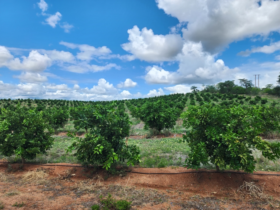 0 Bedroom Property for Sale in Musina Limpopo