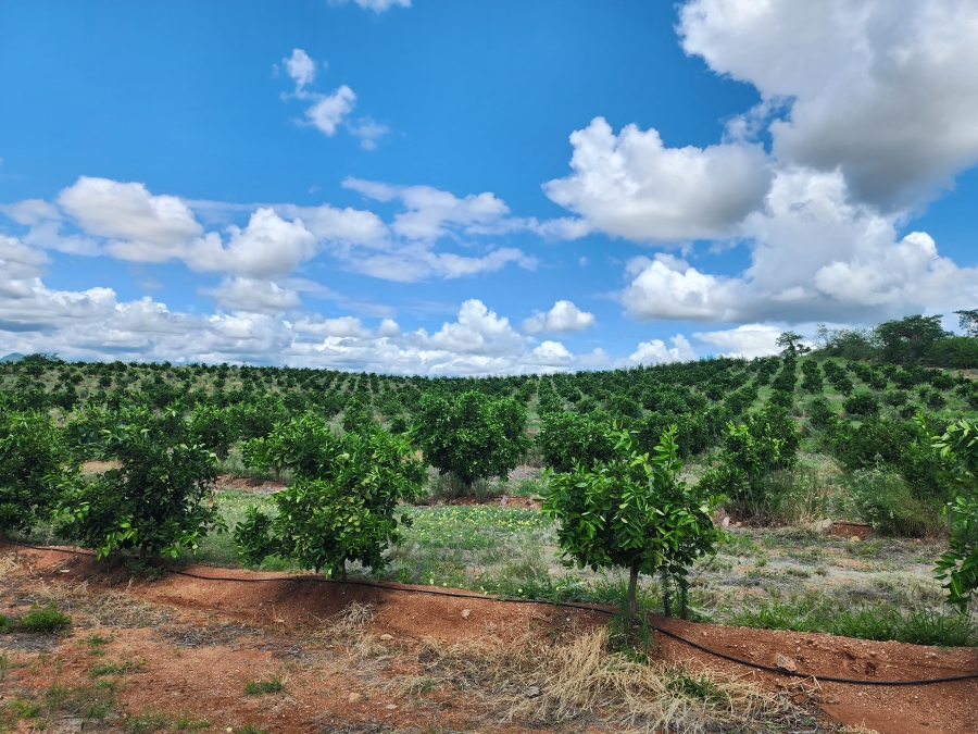 0 Bedroom Property for Sale in Musina Limpopo