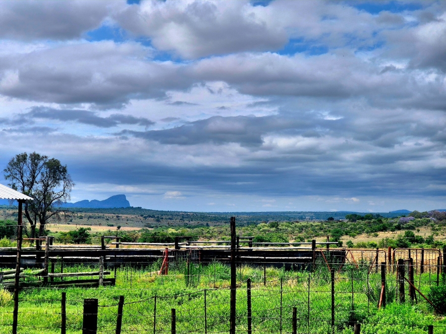 Commercial Property for Sale in Mookgopong Limpopo