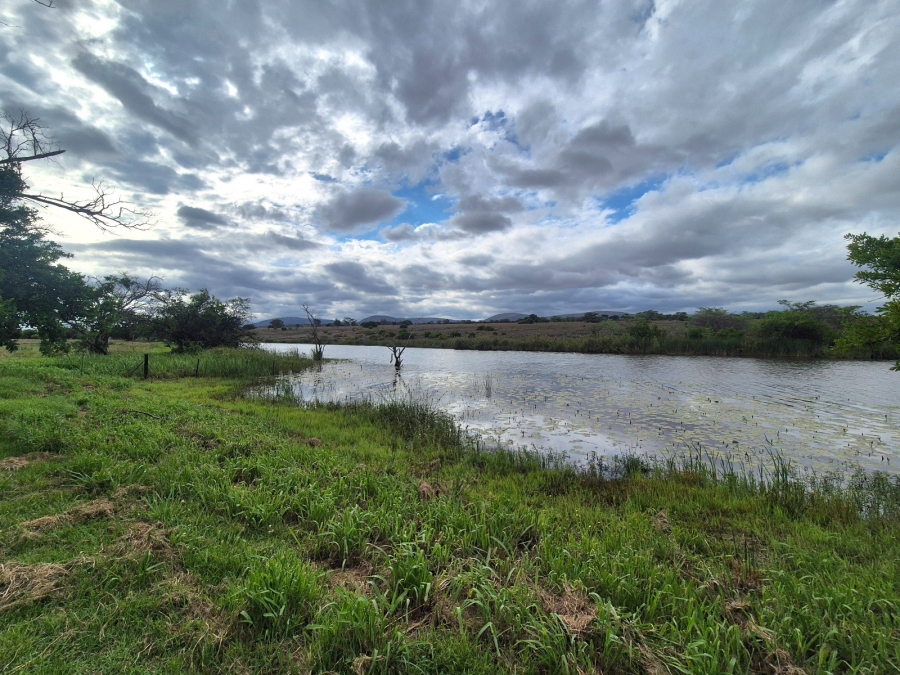 Commercial Property for Sale in Mookgopong Limpopo