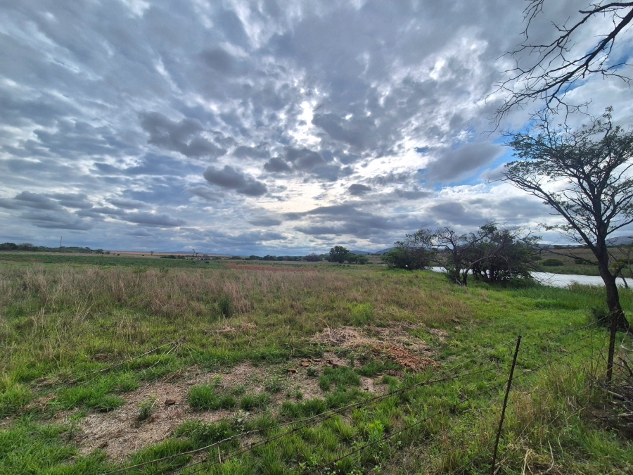 Commercial Property for Sale in Mookgopong Limpopo