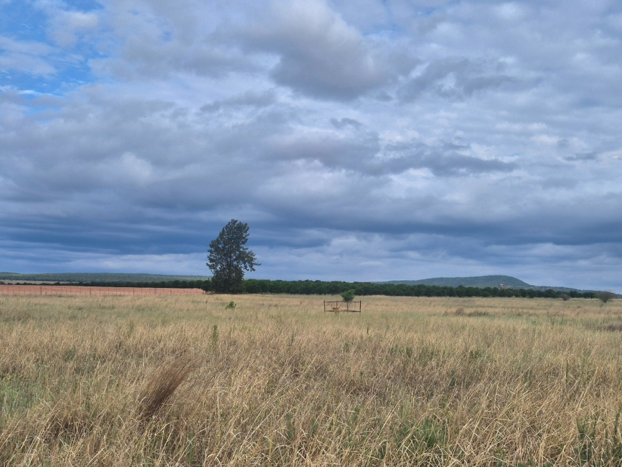 Commercial Property for Sale in Mookgopong Limpopo