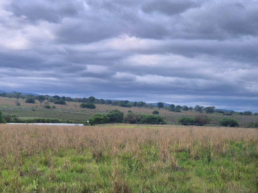 Commercial Property for Sale in Mookgopong Limpopo