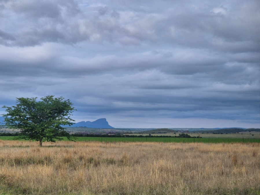 Commercial Property for Sale in Mookgopong Limpopo