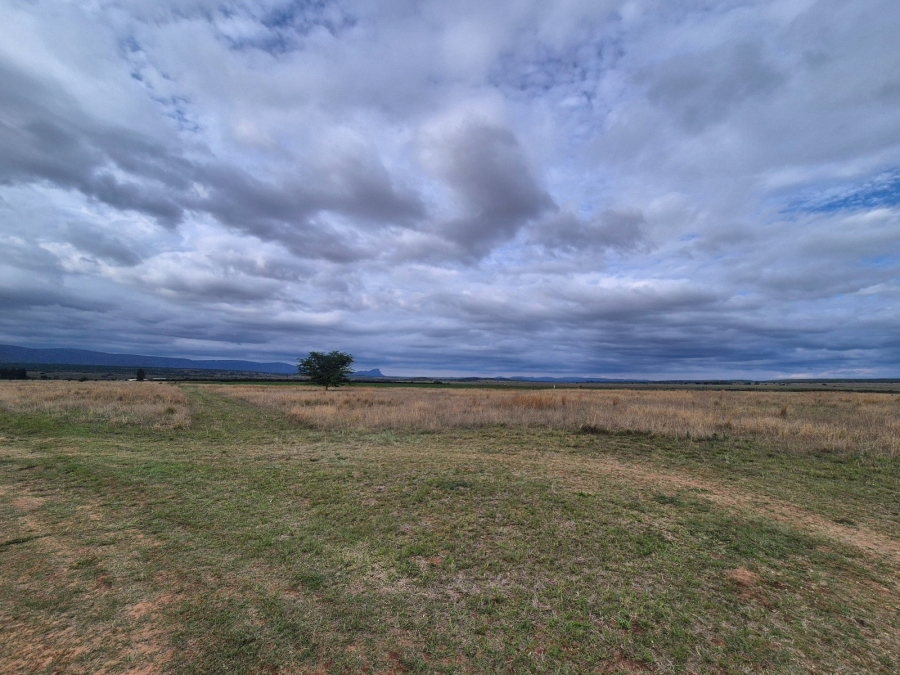 Commercial Property for Sale in Mookgopong Limpopo