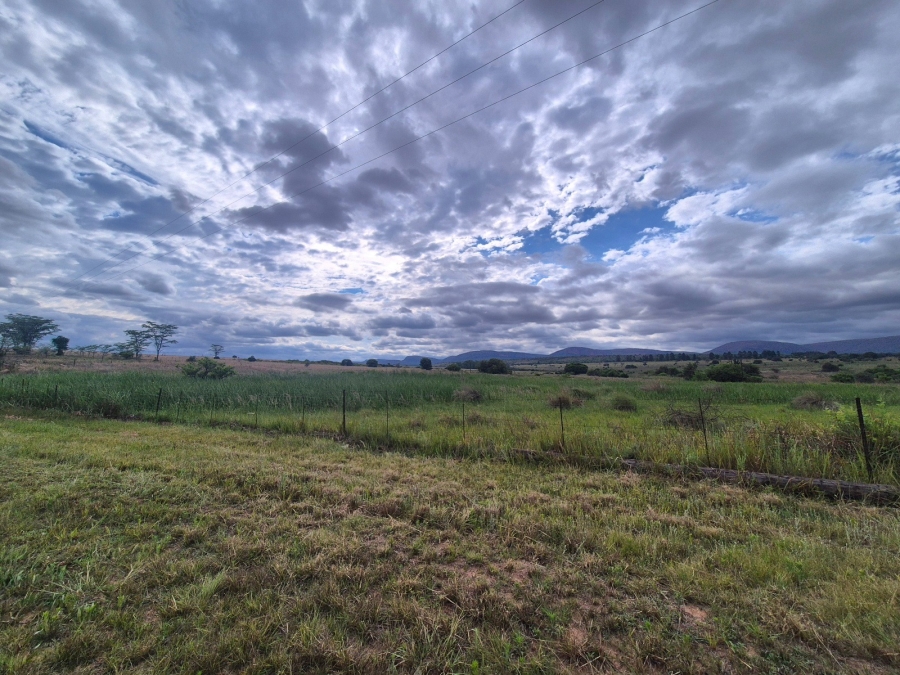 Commercial Property for Sale in Mookgopong Limpopo