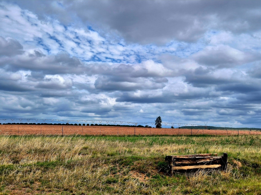 Commercial Property for Sale in Mookgopong Limpopo