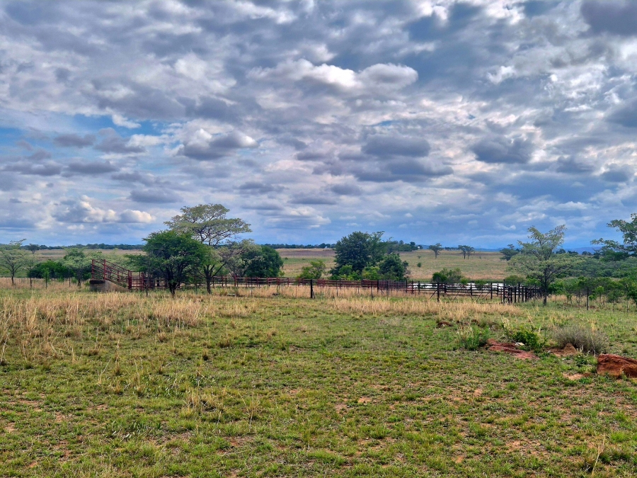 Commercial Property for Sale in Mookgopong Limpopo