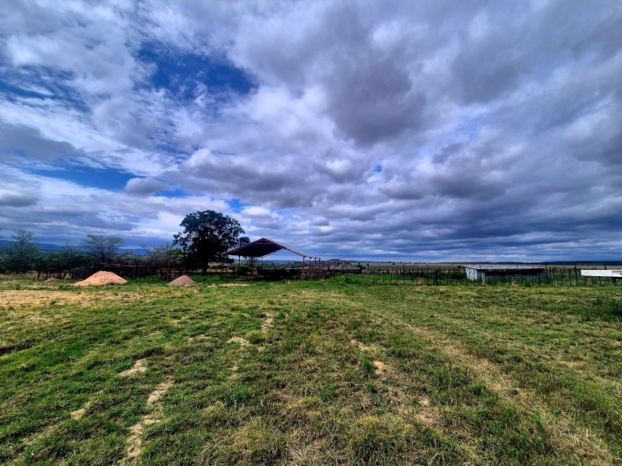 Commercial Property for Sale in Mookgopong Limpopo