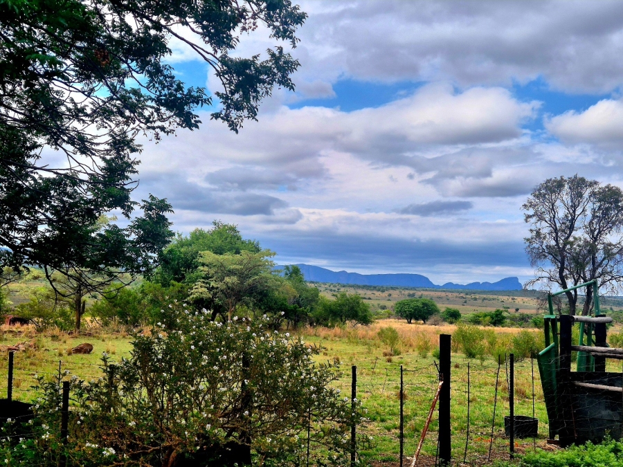 Commercial Property for Sale in Mookgopong Limpopo