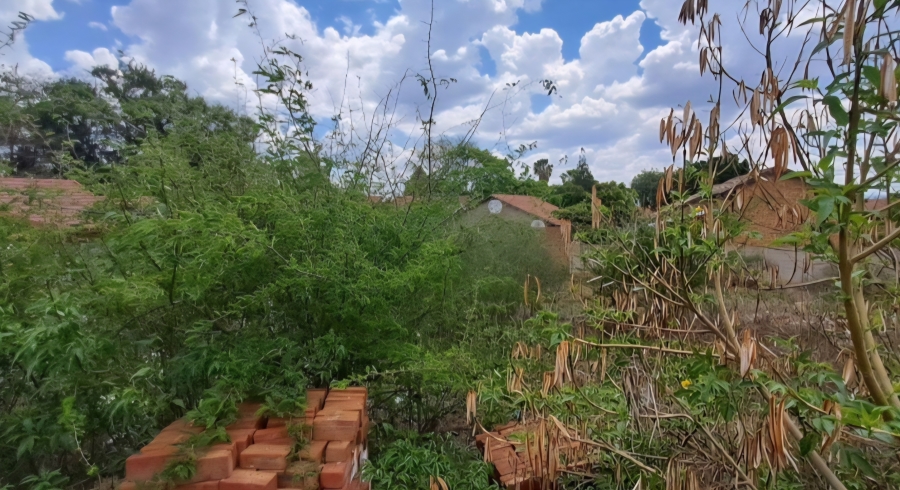 0 Bedroom Property for Sale in Flora Park Limpopo