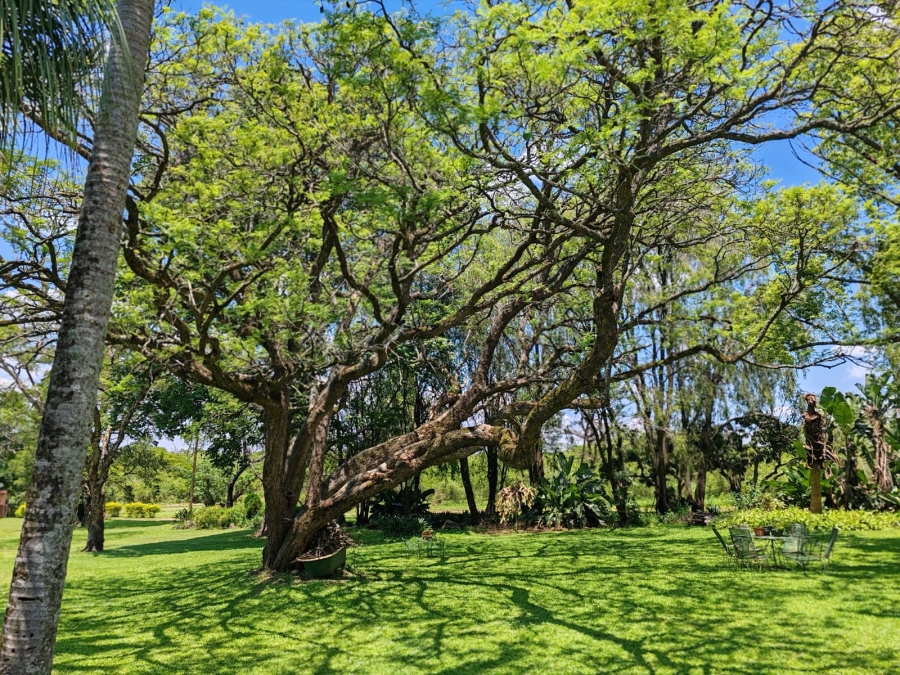 Commercial Property for Sale in Louis Trichardt Limpopo