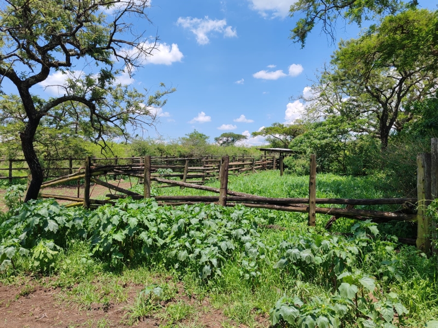 Commercial Property for Sale in Louis Trichardt Limpopo