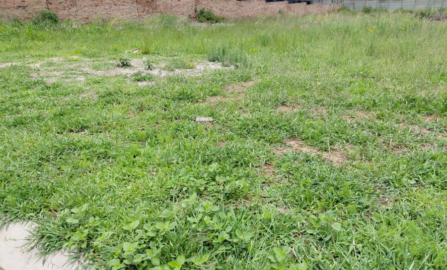 0 Bedroom Property for Sale in Bendor Limpopo