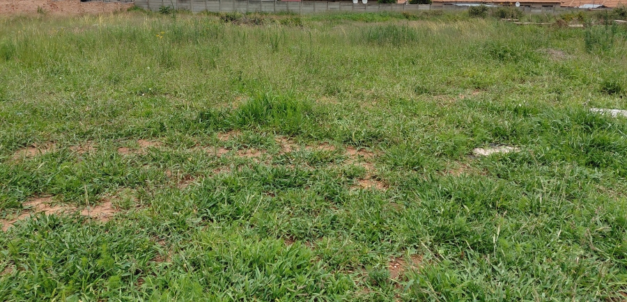 0 Bedroom Property for Sale in Bendor Limpopo