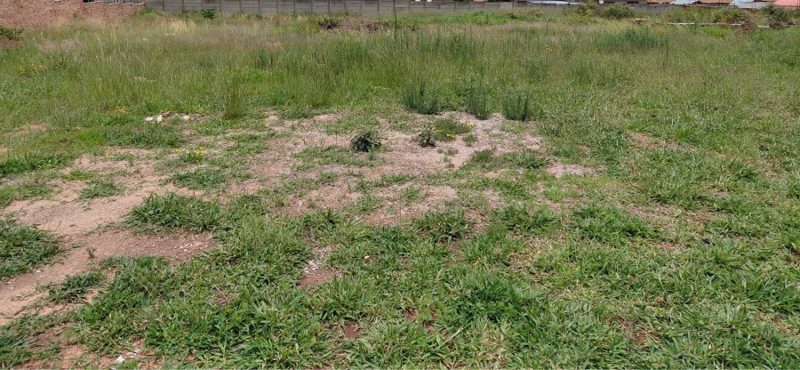 0 Bedroom Property for Sale in Bendor Limpopo