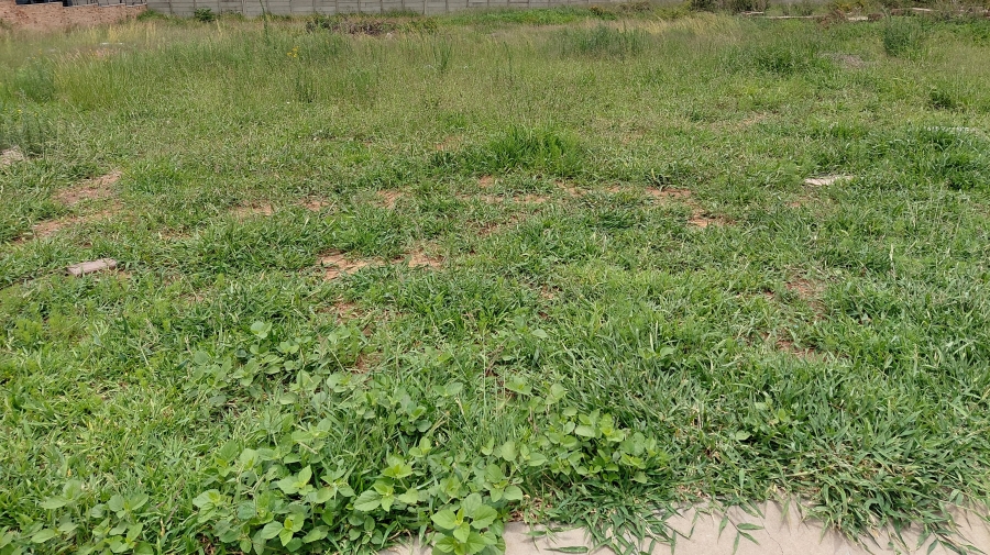 0 Bedroom Property for Sale in Bendor Limpopo