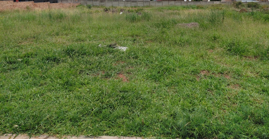 0 Bedroom Property for Sale in Bendor Limpopo