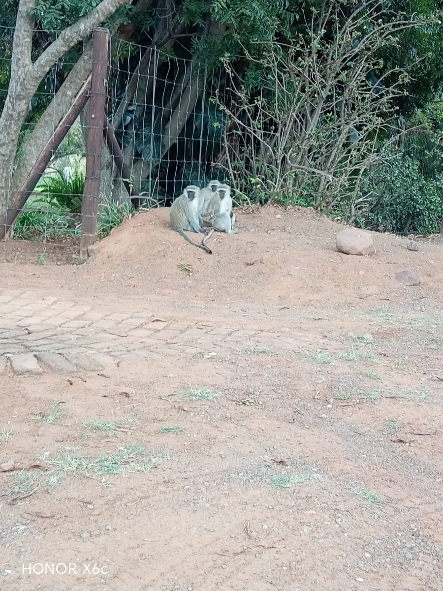 4 Bedroom Property for Sale in Buffelspoort Eco Estate Limpopo