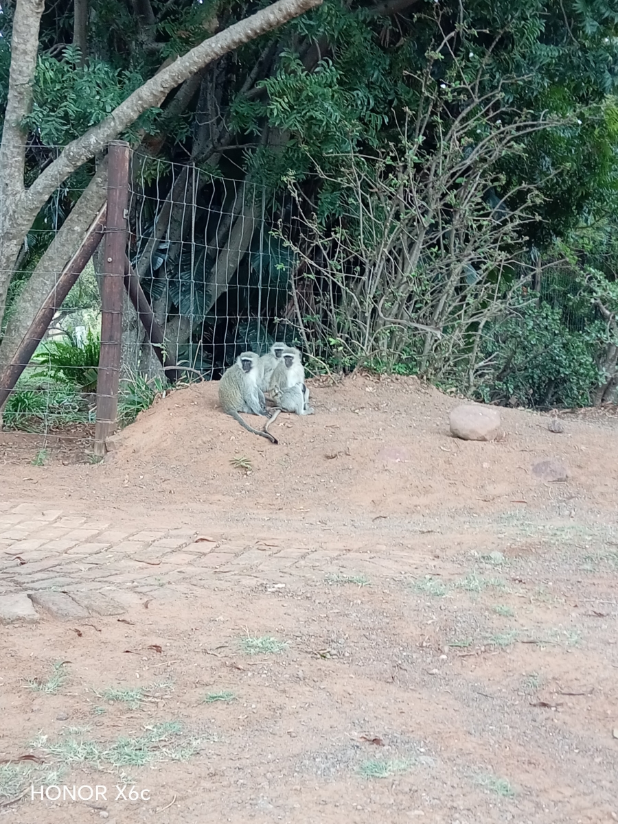 4 Bedroom Property for Sale in Buffelspoort Eco Estate Limpopo