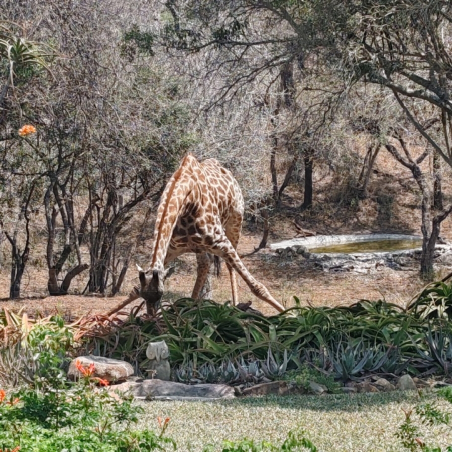 3 Bedroom Property for Sale in Hoedspruit Rural Limpopo