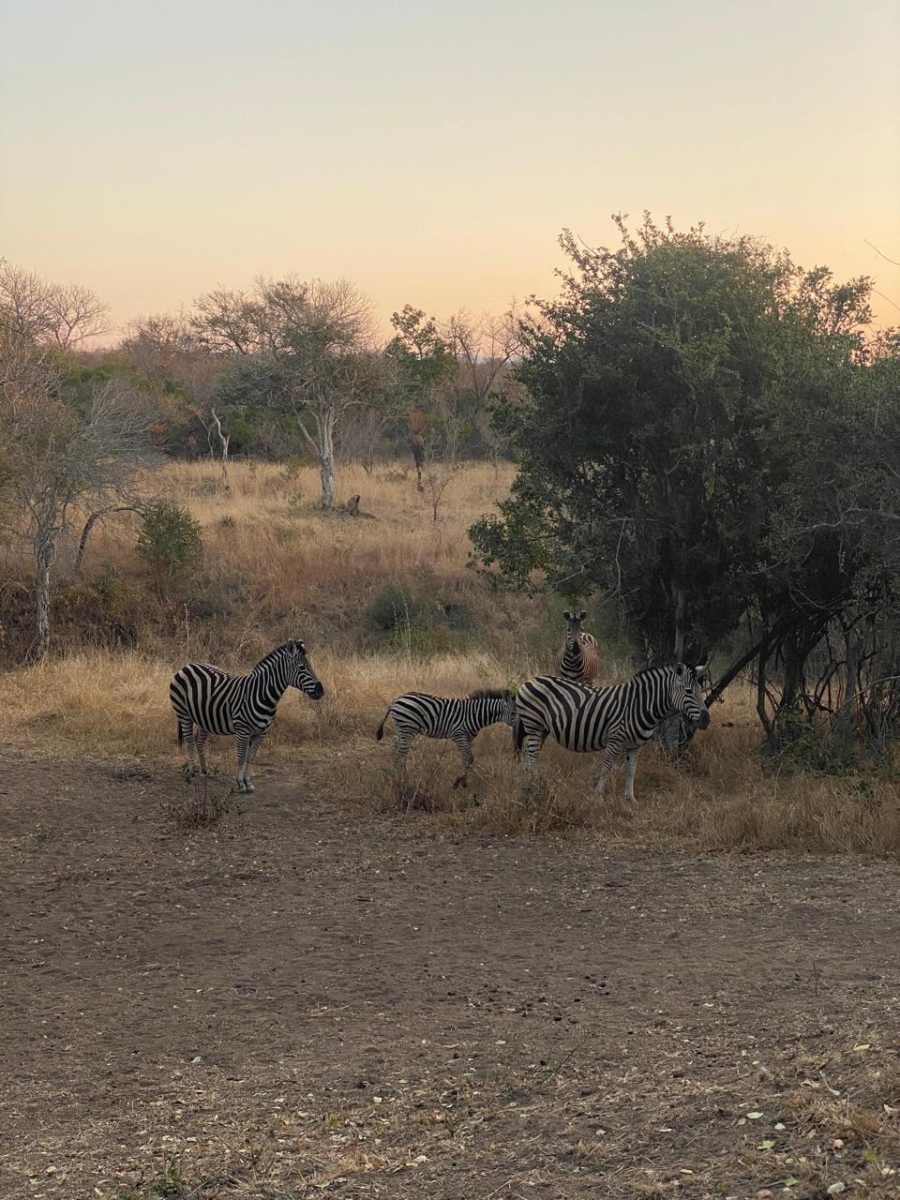 3 Bedroom Property for Sale in Hoedspruit Rural Limpopo