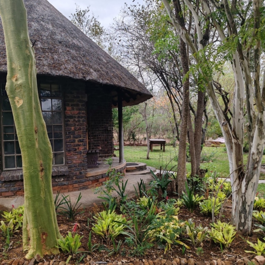 To Let 3 Bedroom Property for Rent in Hoedspruit Rural Limpopo