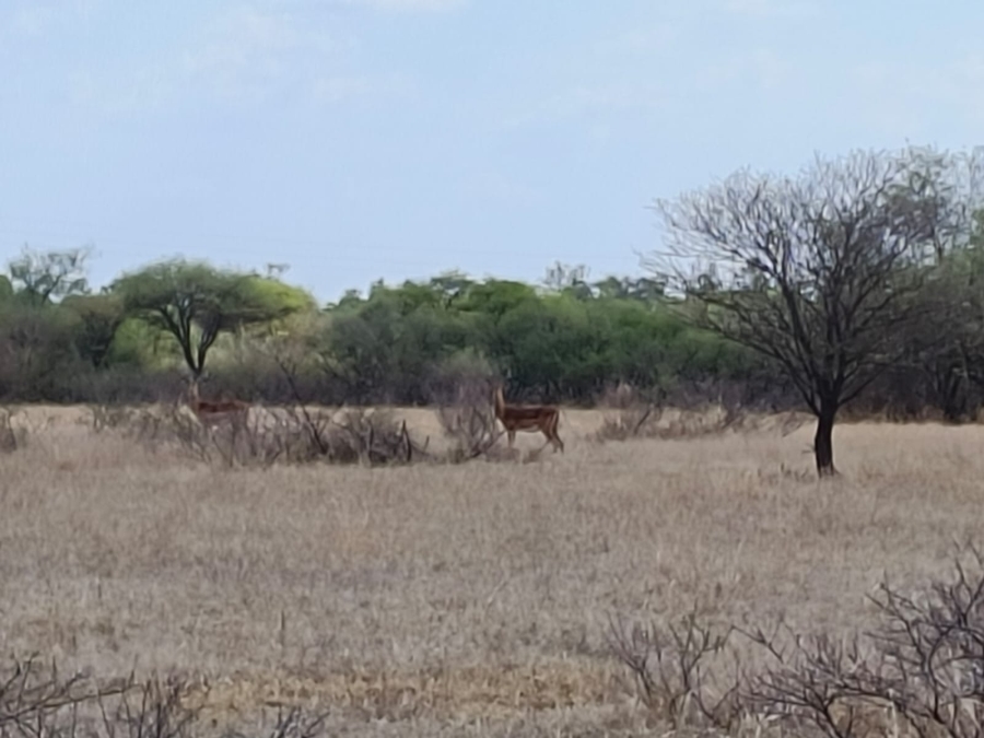 3 Bedroom Property for Sale in Bela Bela Limpopo