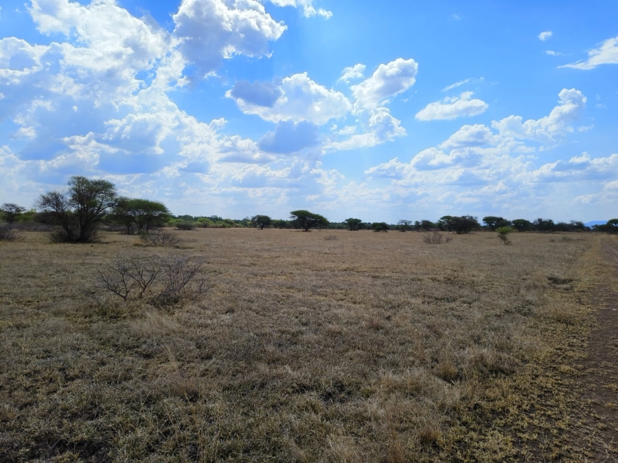 3 Bedroom Property for Sale in Bela Bela Limpopo