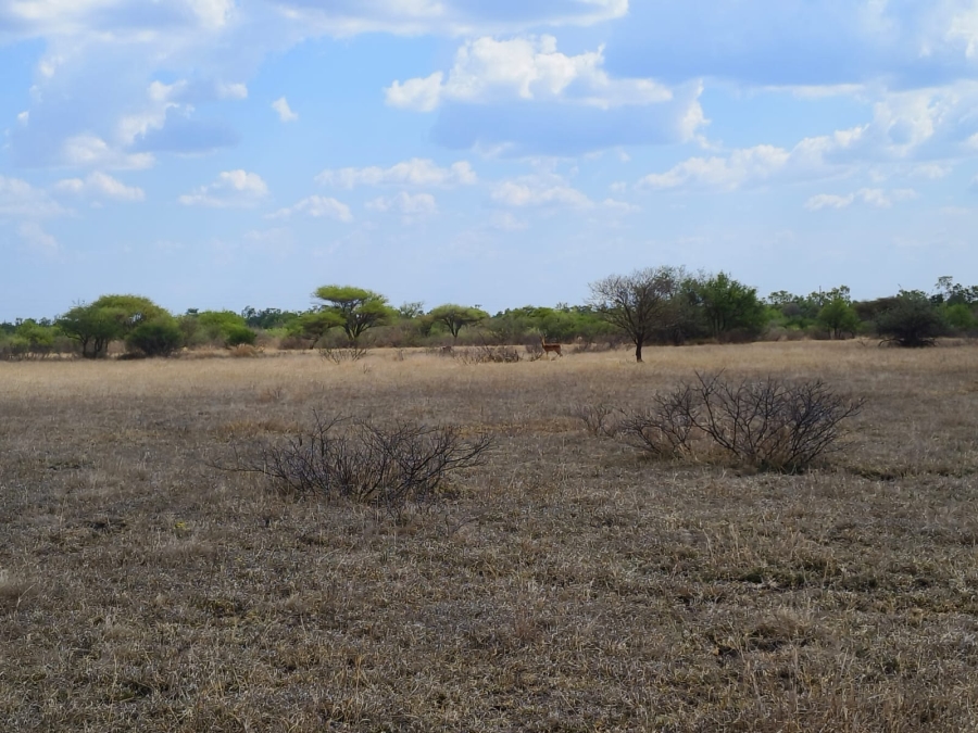 3 Bedroom Property for Sale in Bela Bela Limpopo