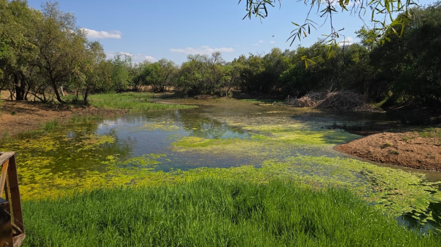 3 Bedroom Property for Sale in Bela Bela Limpopo