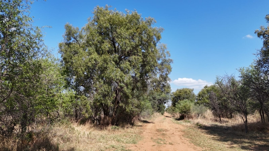 3 Bedroom Property for Sale in Bela Bela Limpopo