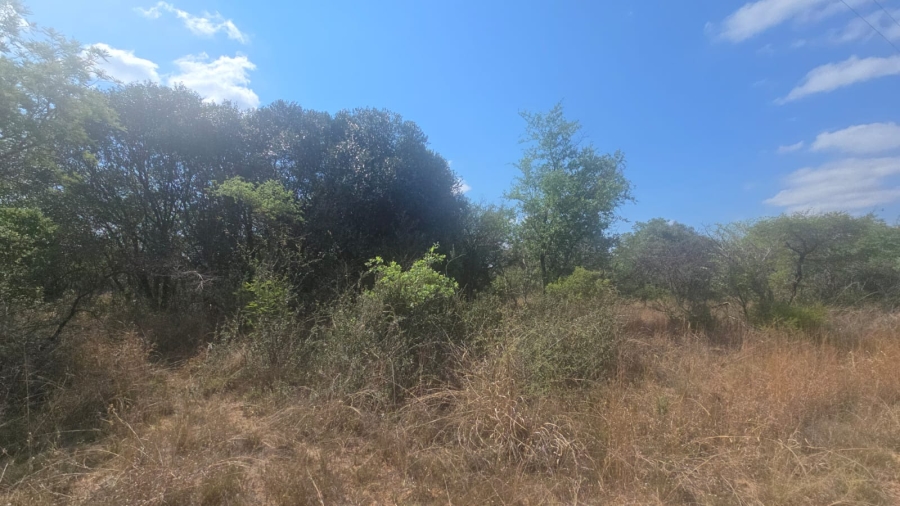 3 Bedroom Property for Sale in Bela Bela Limpopo