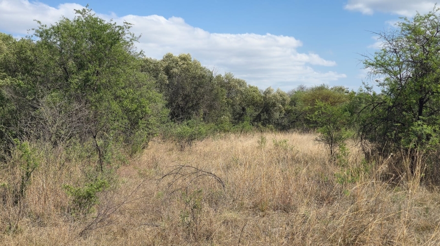 3 Bedroom Property for Sale in Bela Bela Limpopo