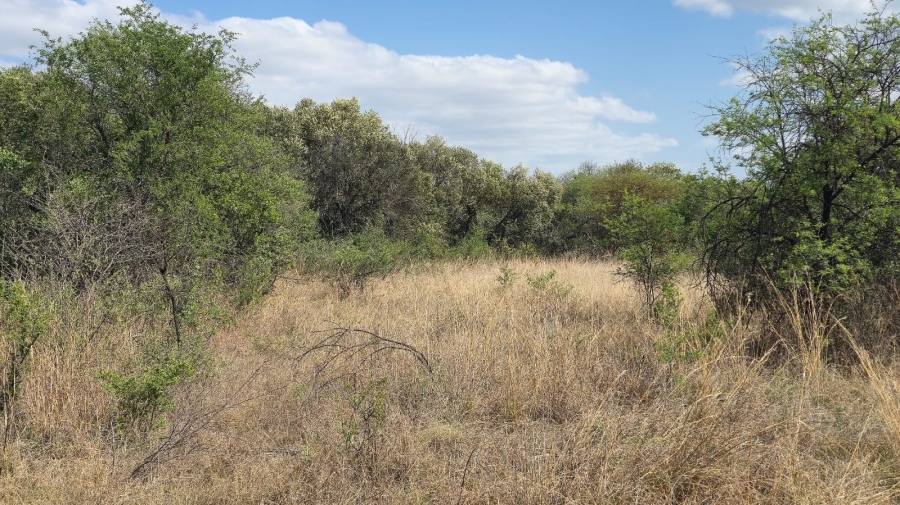 3 Bedroom Property for Sale in Bela Bela Limpopo