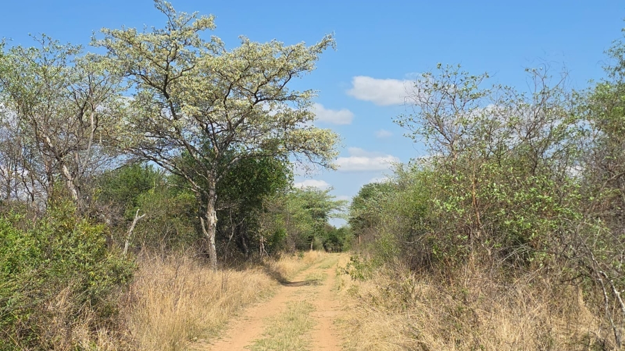 3 Bedroom Property for Sale in Bela Bela Limpopo