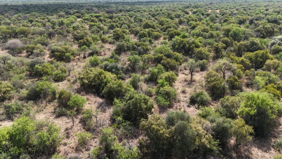 3 Bedroom Property for Sale in Bela Bela Limpopo