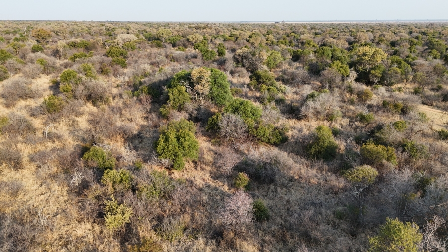 3 Bedroom Property for Sale in Bela Bela Limpopo