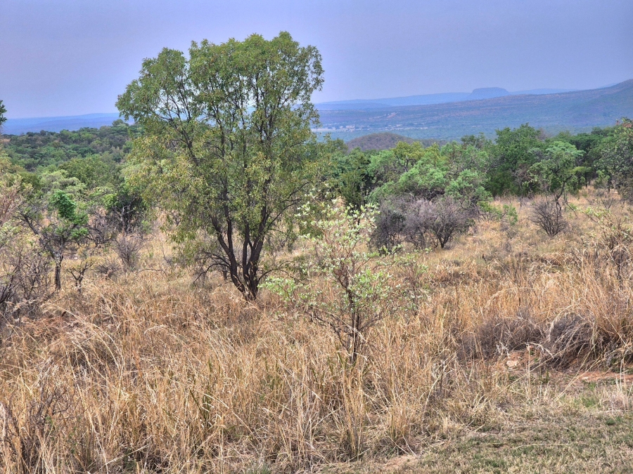 0 Bedroom Property for Sale in Euphoria Golf Estate Limpopo