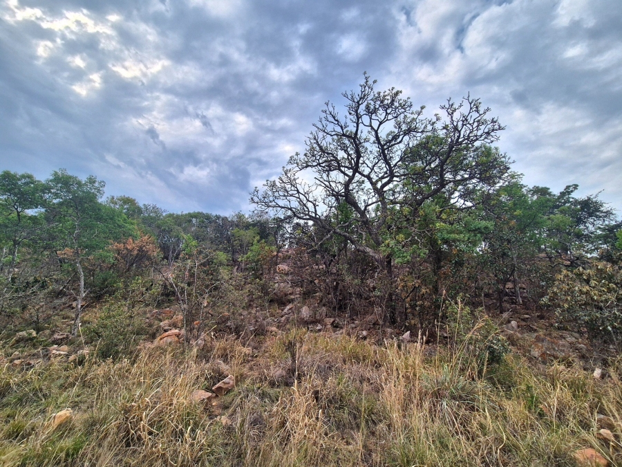 0 Bedroom Property for Sale in Euphoria Golf Estate Limpopo