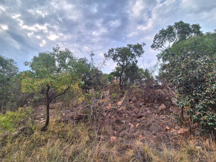 0 Bedroom Property for Sale in Euphoria Golf Estate Limpopo